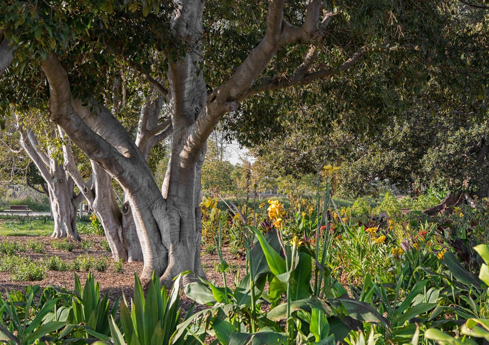 Tongva Park and Ken Genser Square - image 14
