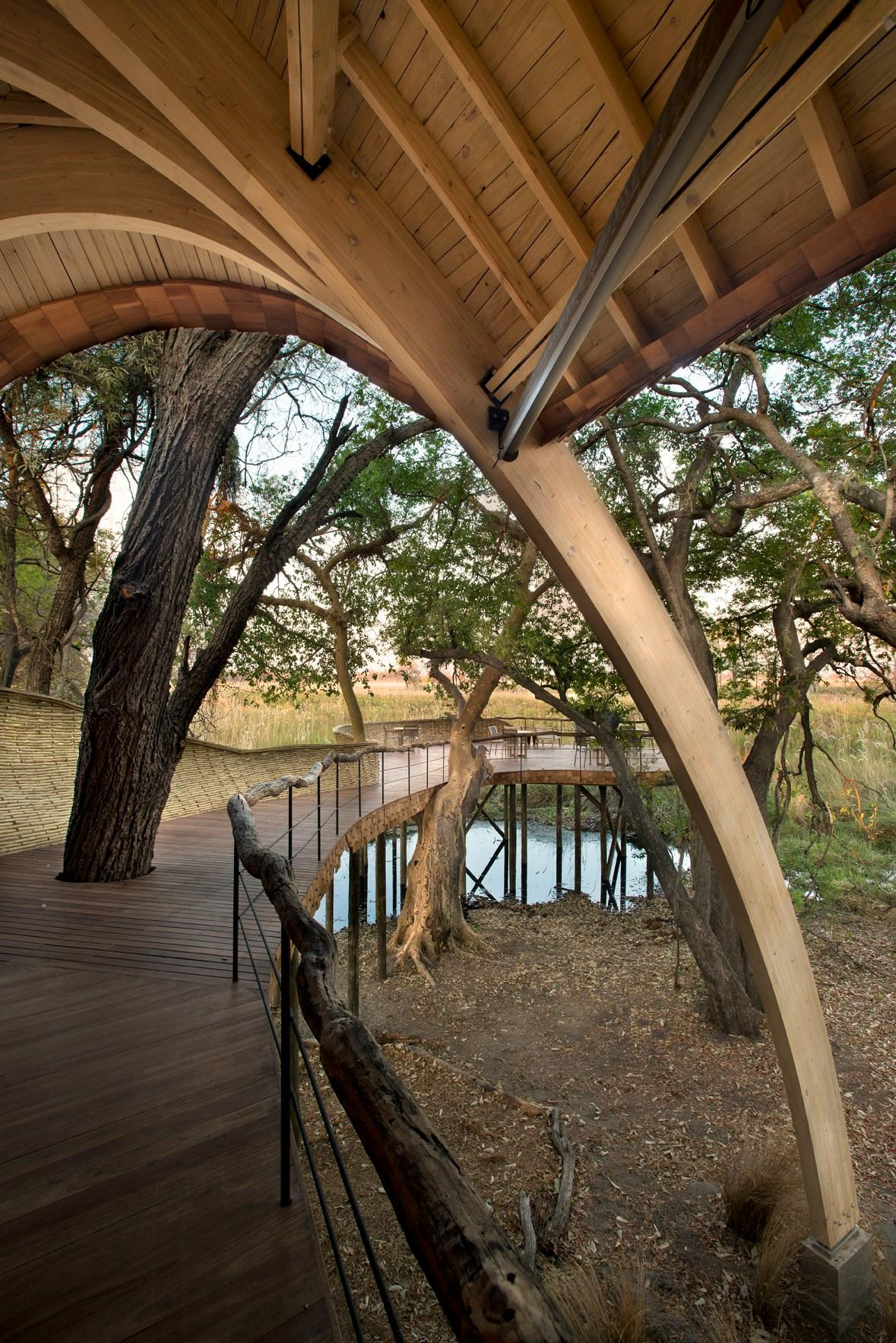 Sandibe Okavango Safari Lodge - image 4