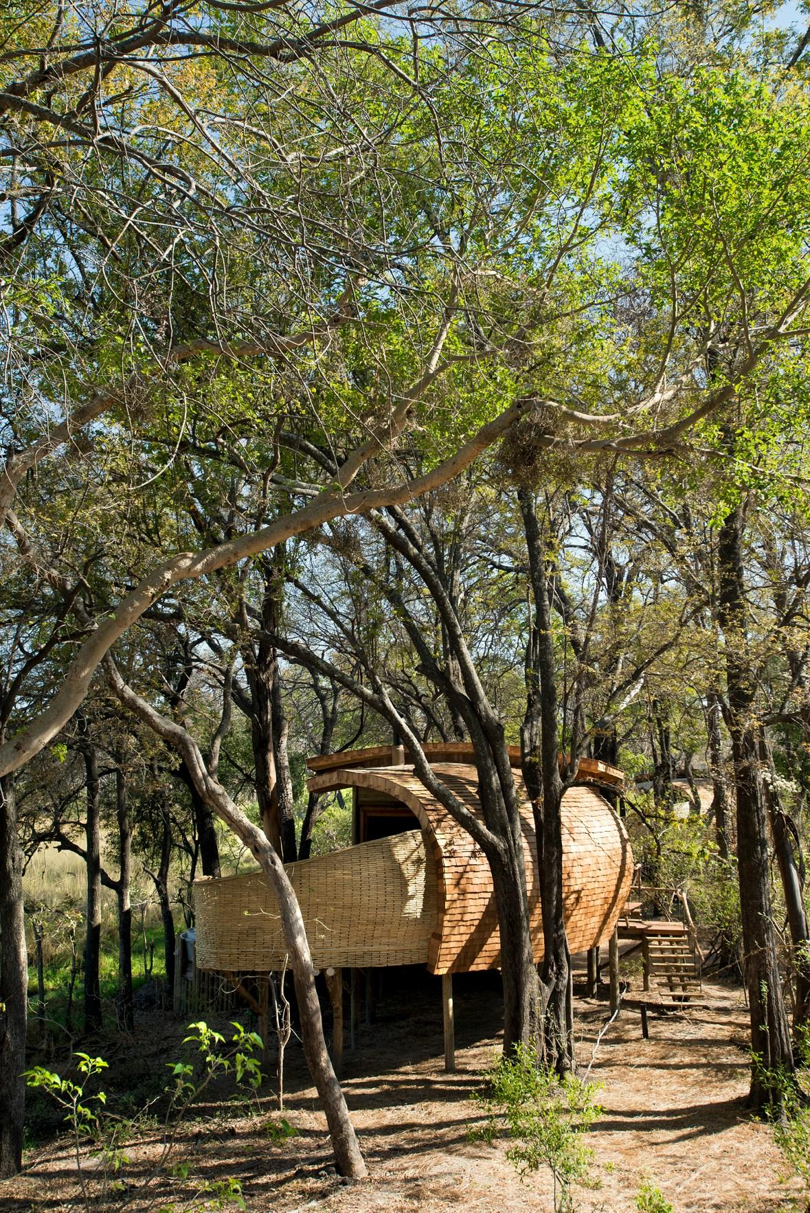 Sandibe Okavango Safari Lodge - image 12