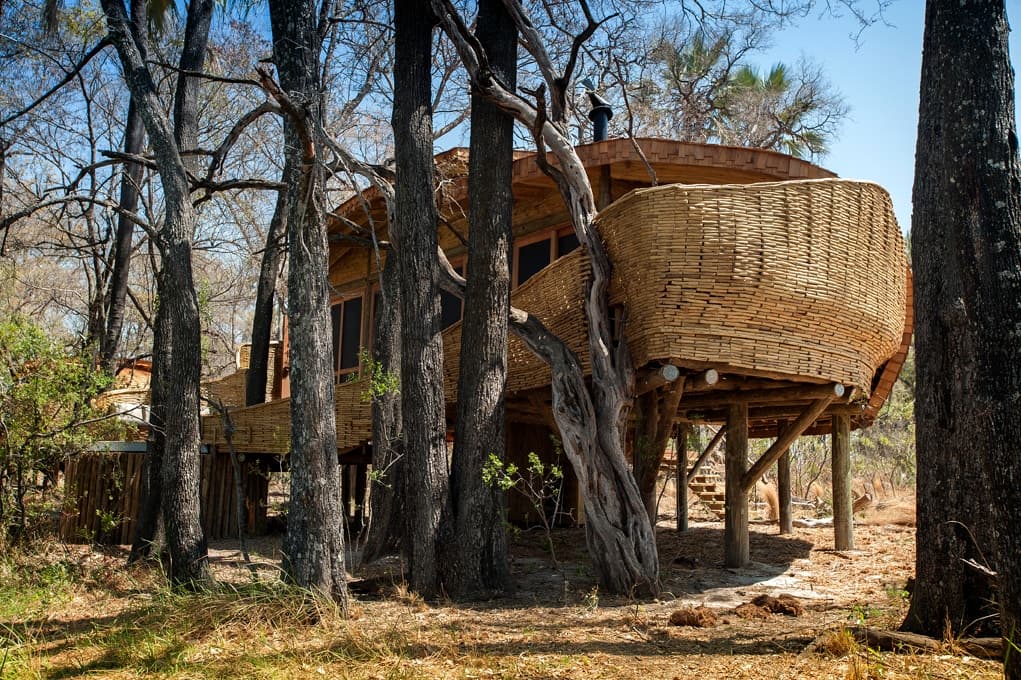 Sandibe Okavango Safari Lodge - image 15