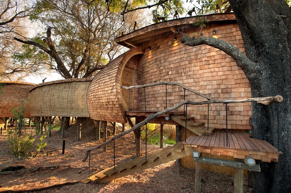 Sandibe Okavango Safari Lodge - image 17
