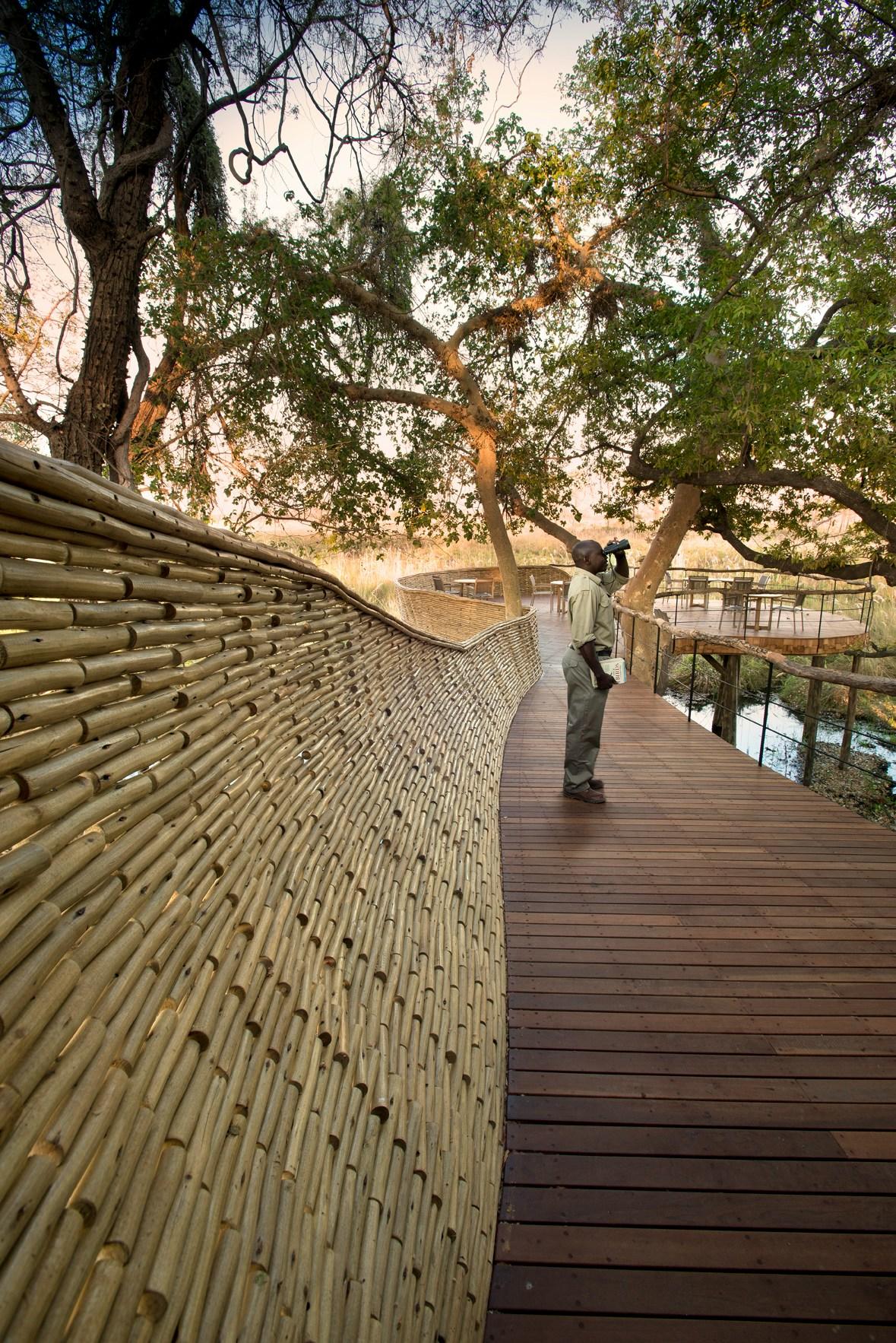 Sandibe Okavango Safari Lodge - image 9