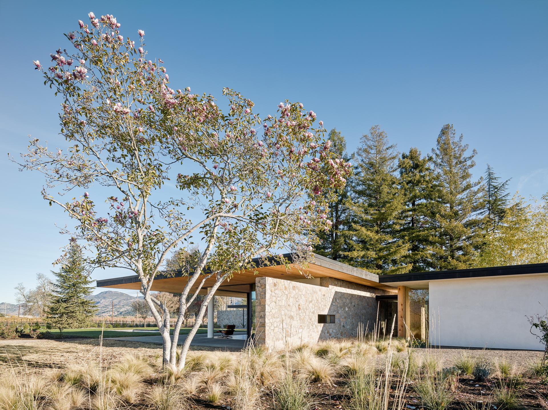 House Set on the Valley Floor - image 2