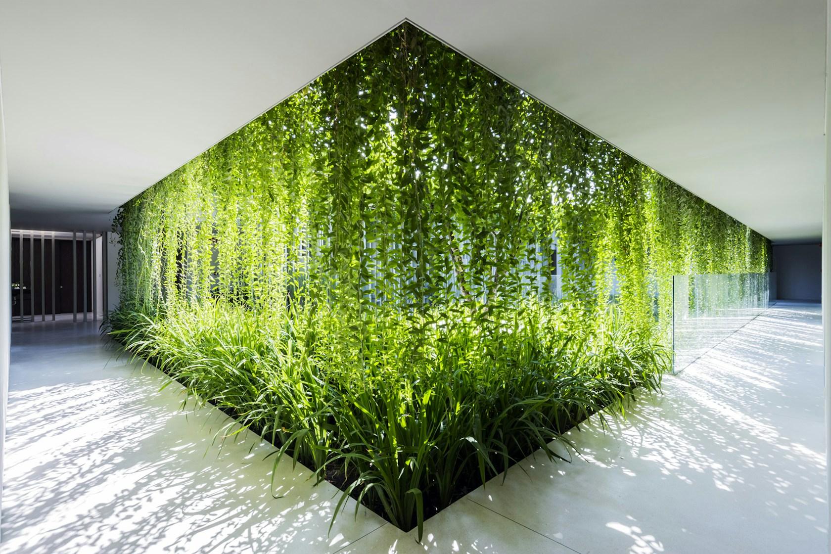 Naman Retreat Pure Spa - image 8