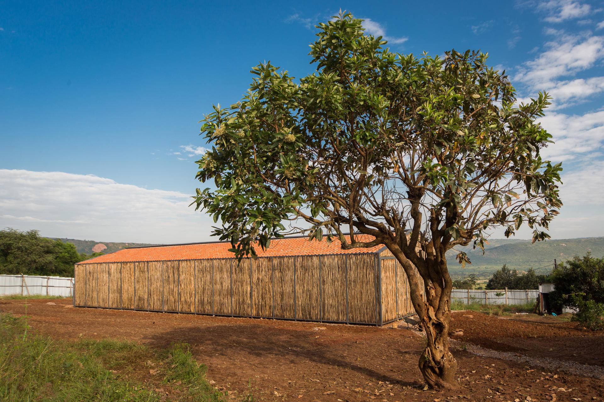 Partners in Health Housing - image 2