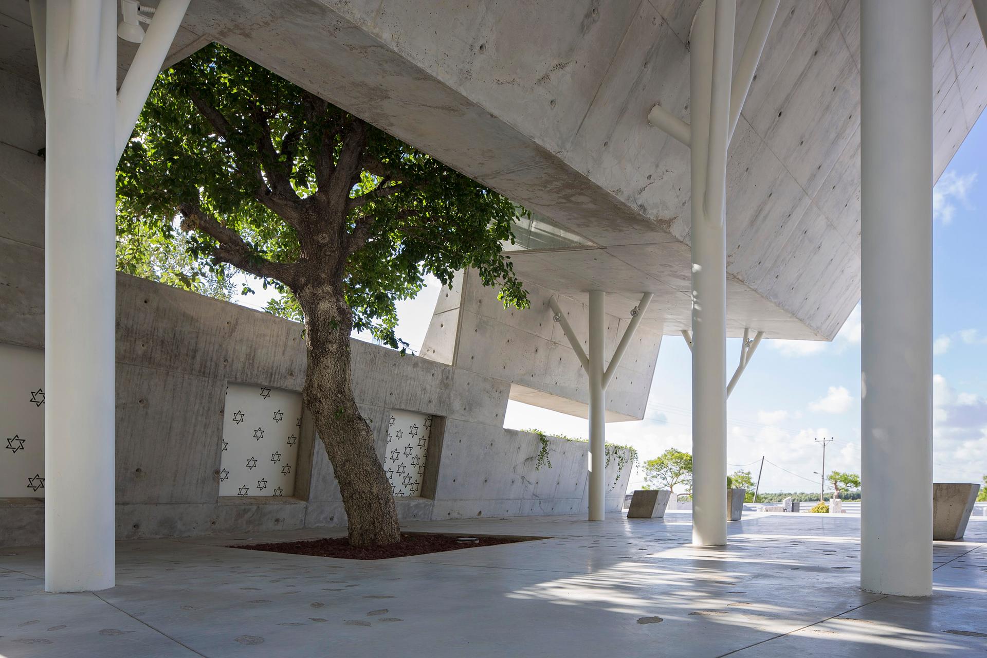 open-sided shelter - image 9
