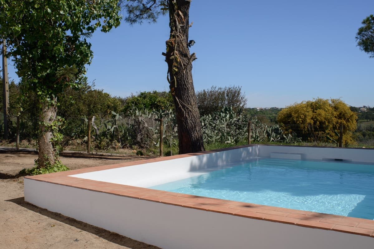 Casa Modesta - image 5