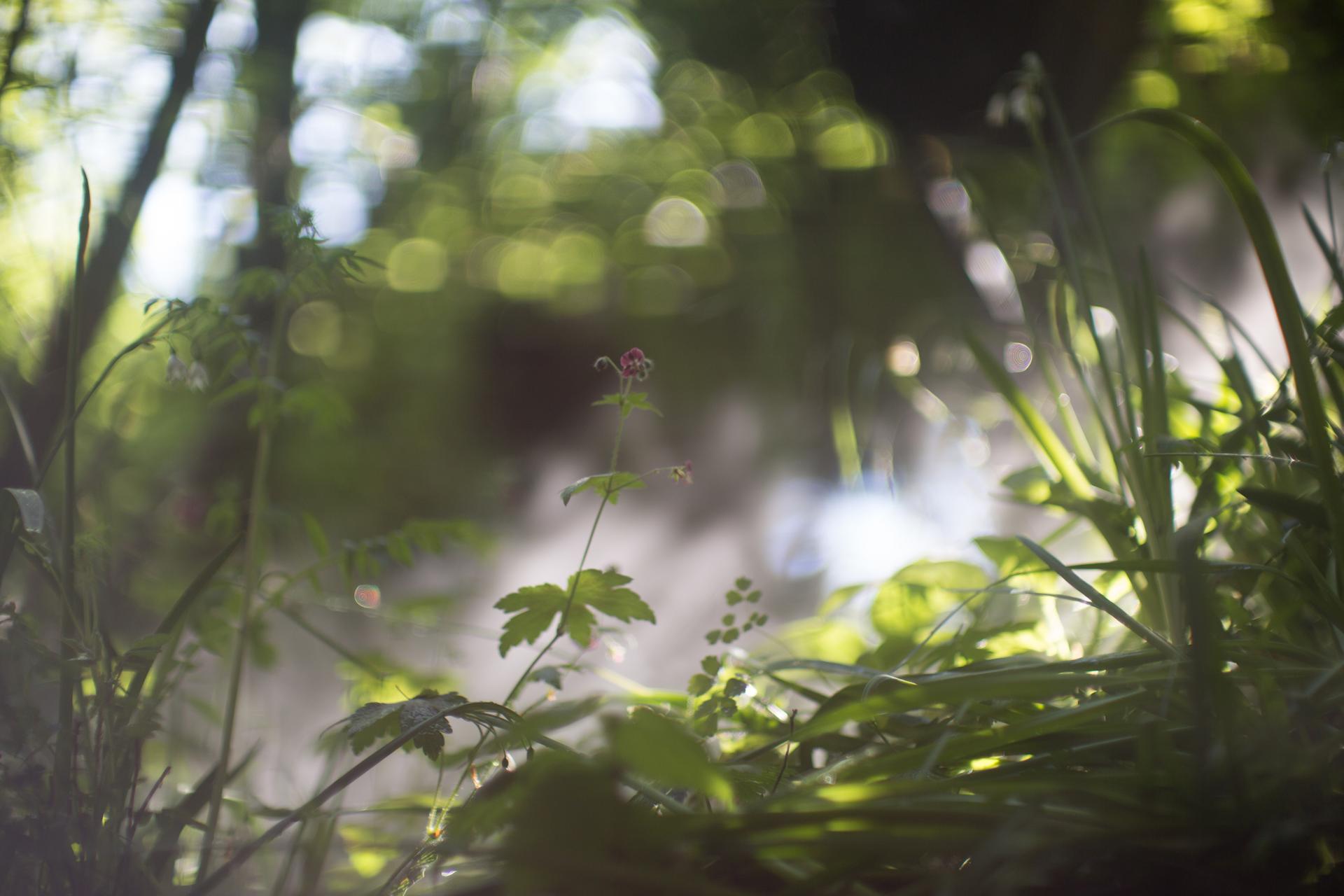 breathe.austria - image 6