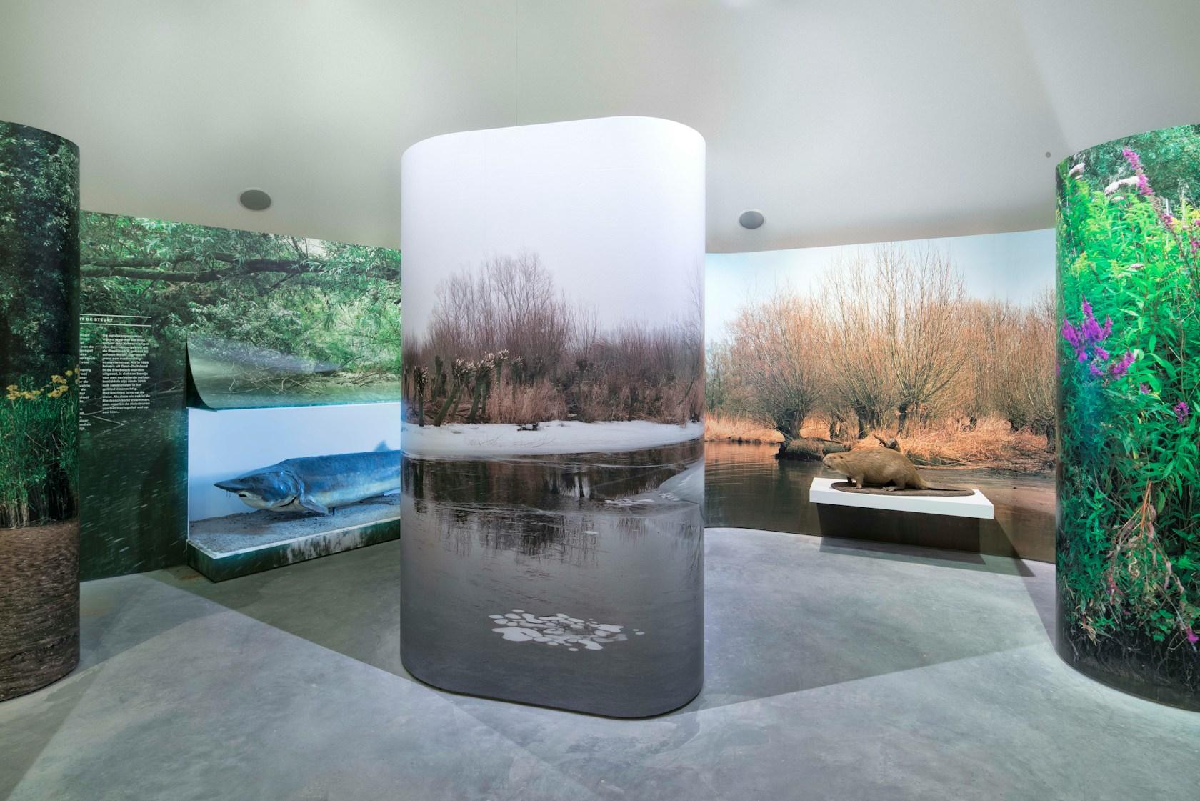 Biesbosch MusemEiland - image 10