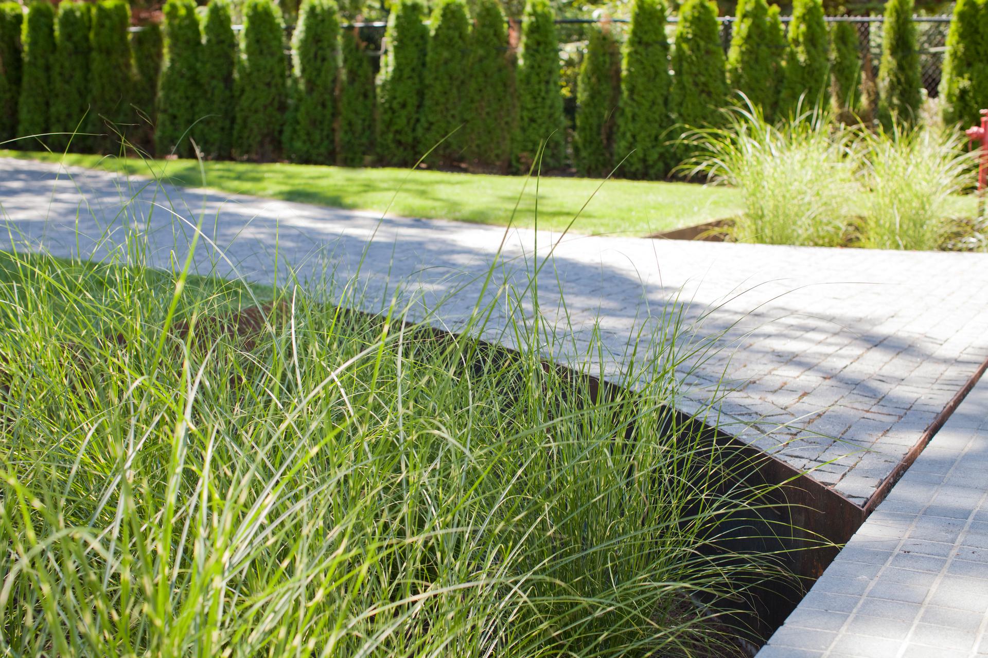 Yan Residence - image 5