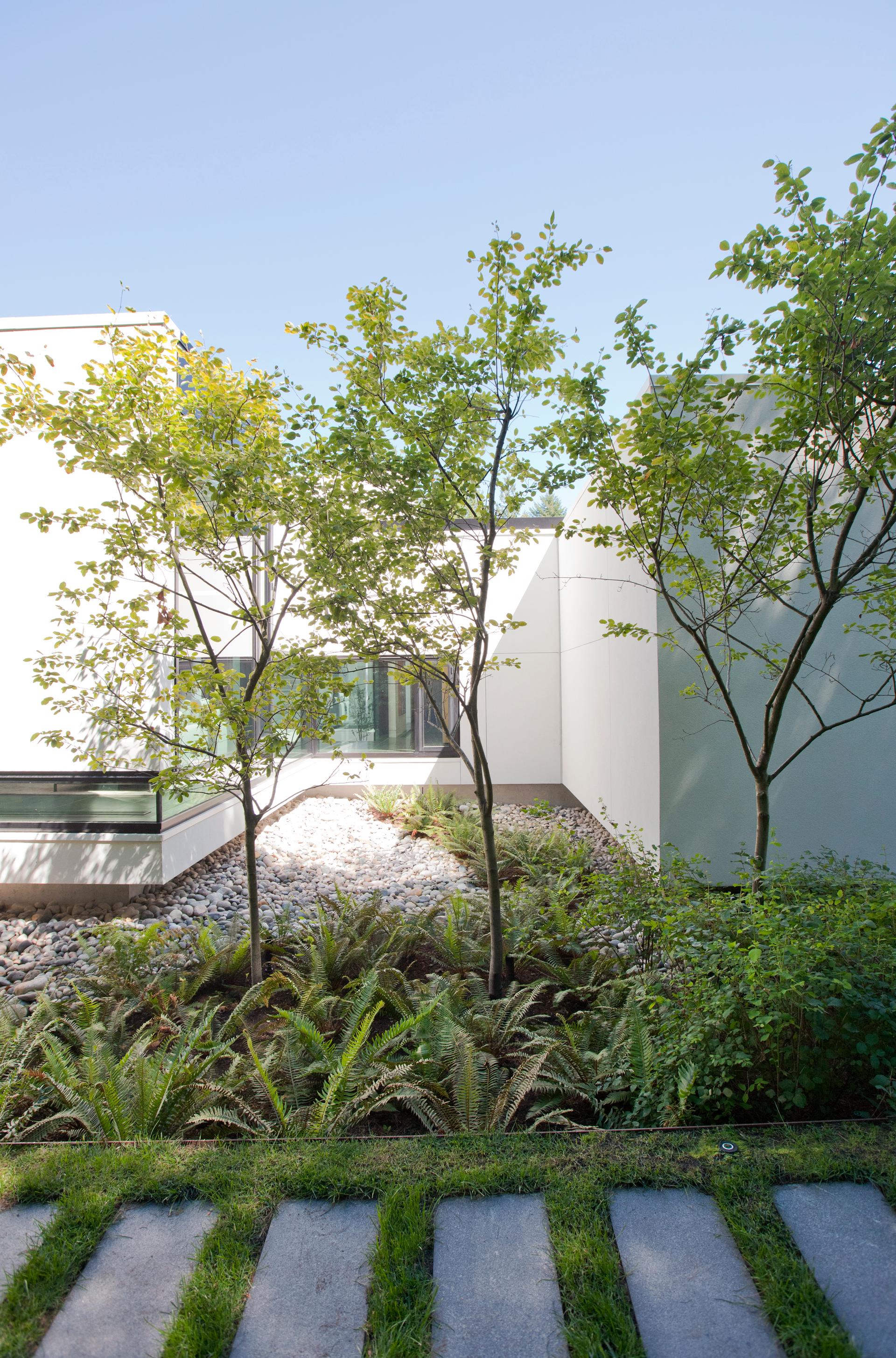 Yan Residence - image 8