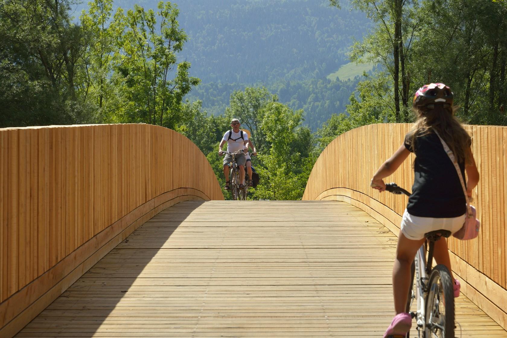 Bicycle Bridge Across the Sava River - image 9