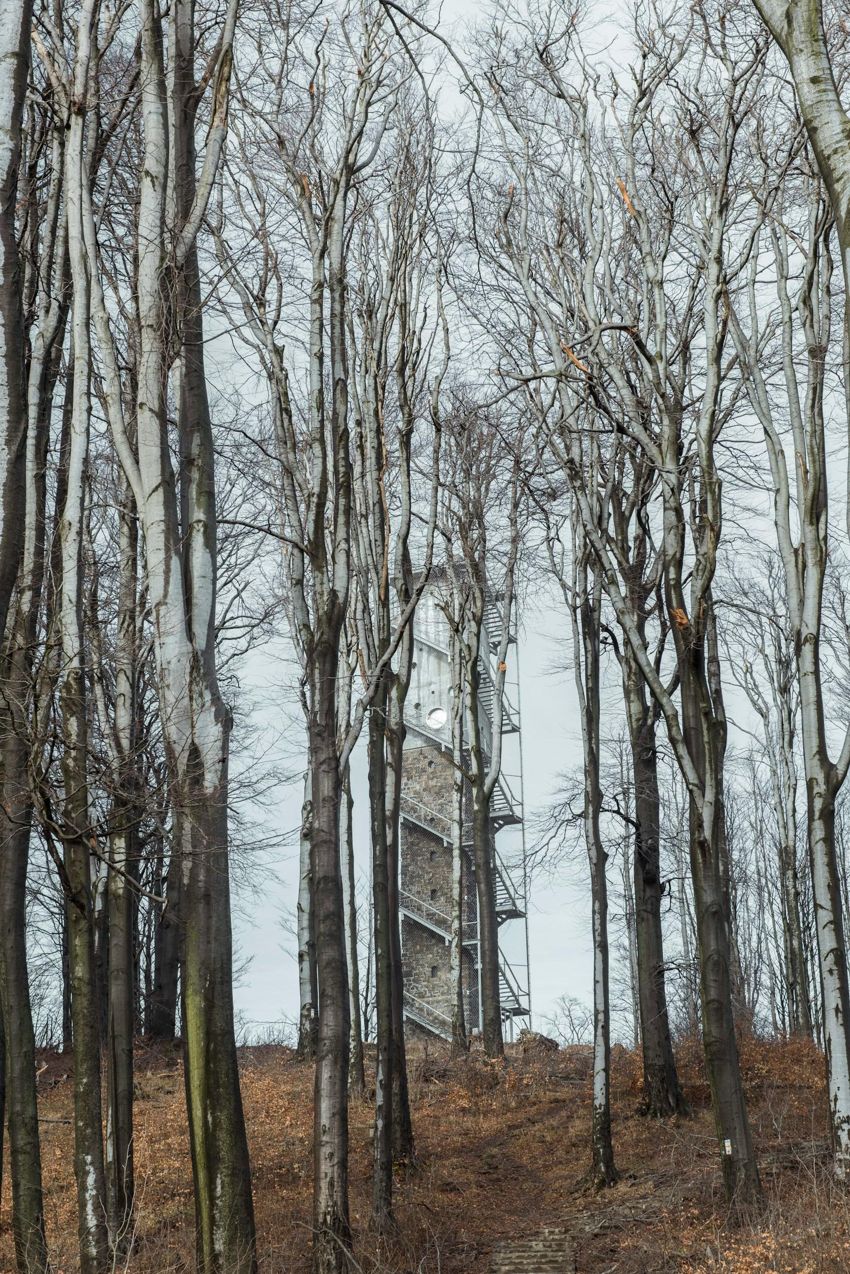Lookout Tower at Galyateto - image 2