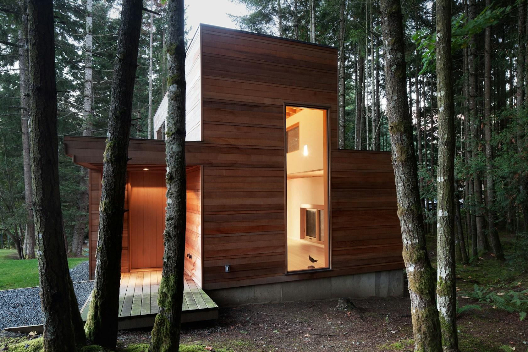 Rainforest Retreat - image 3