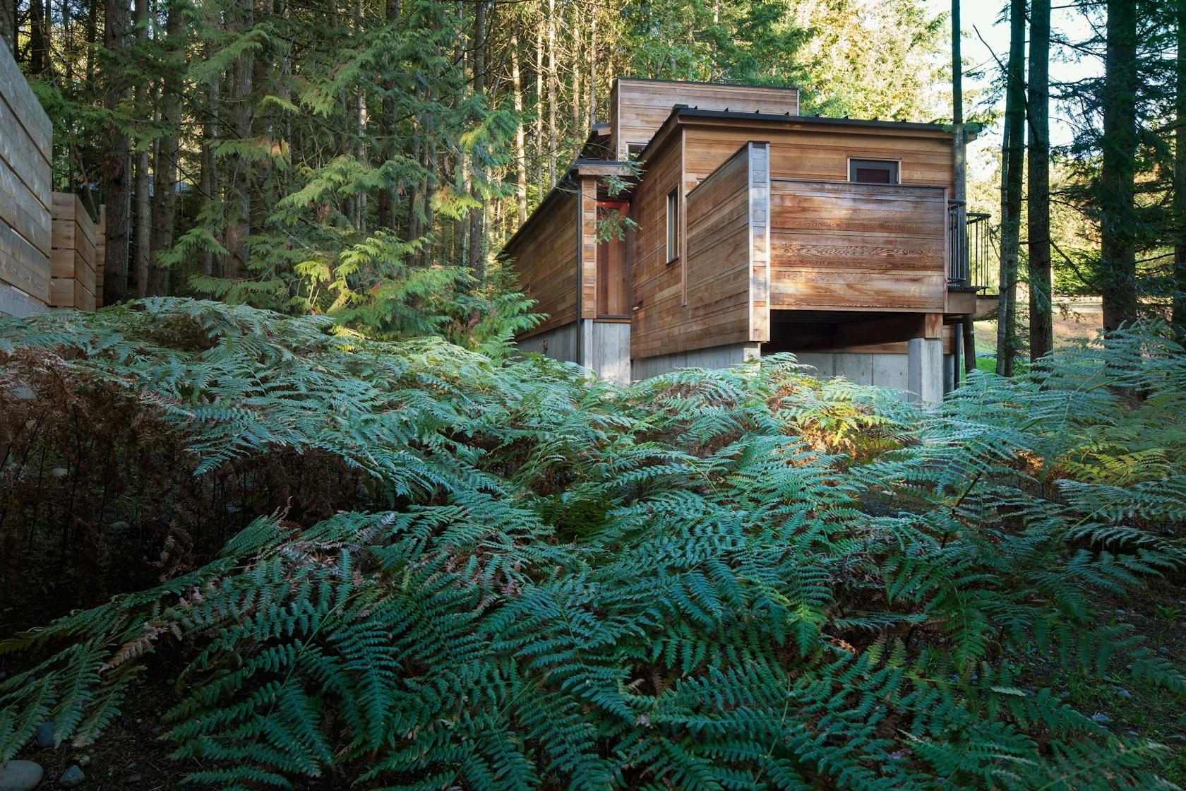 Rainforest Retreat - image 2