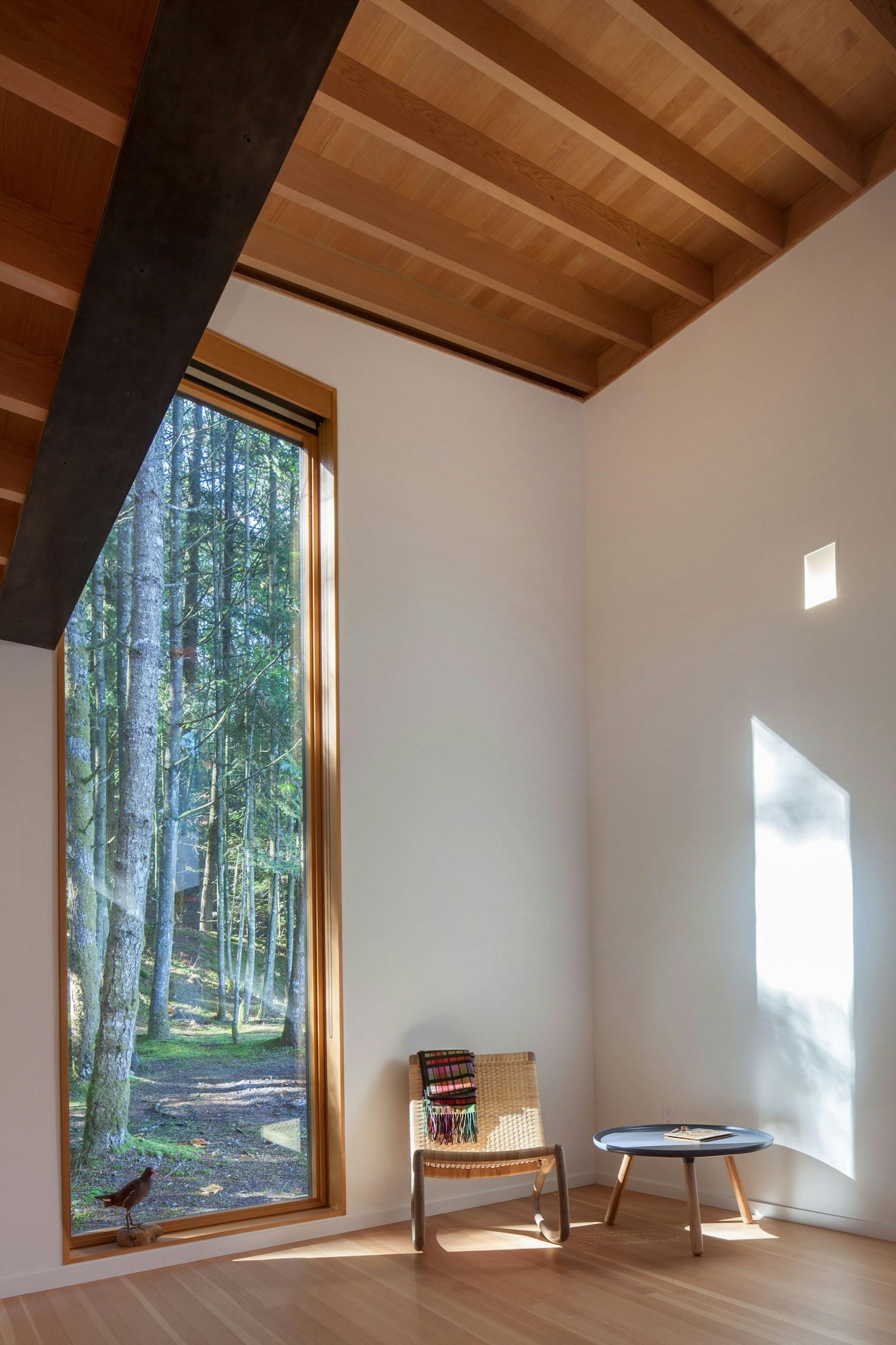 Rainforest Retreat - image 12