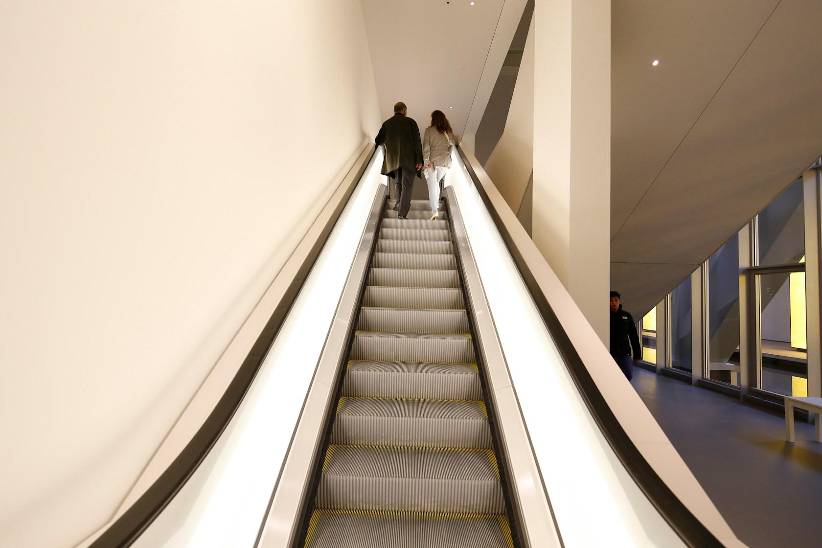 Fondation Louis Vuitton - image 9