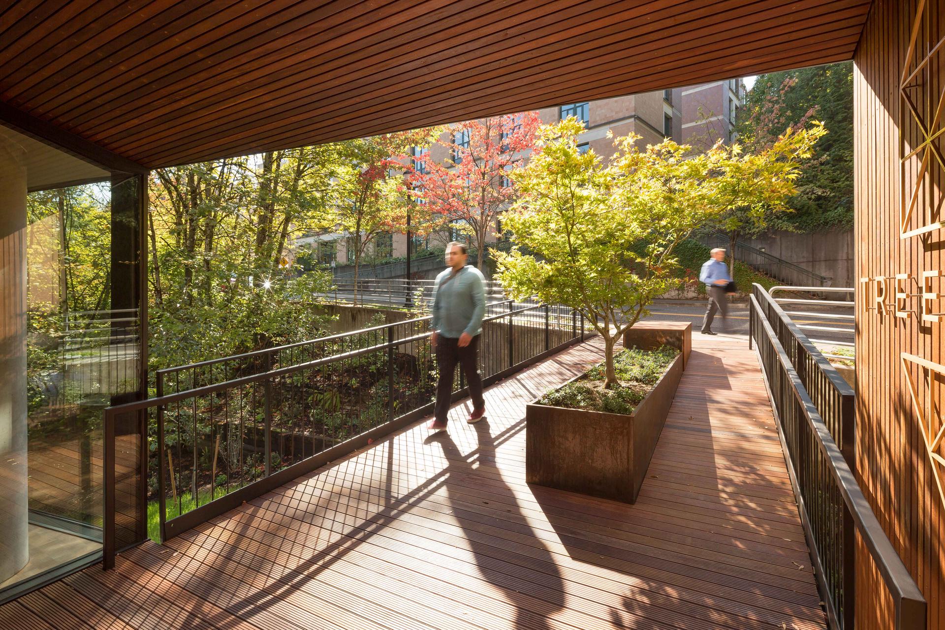 TreeHouse - image 4