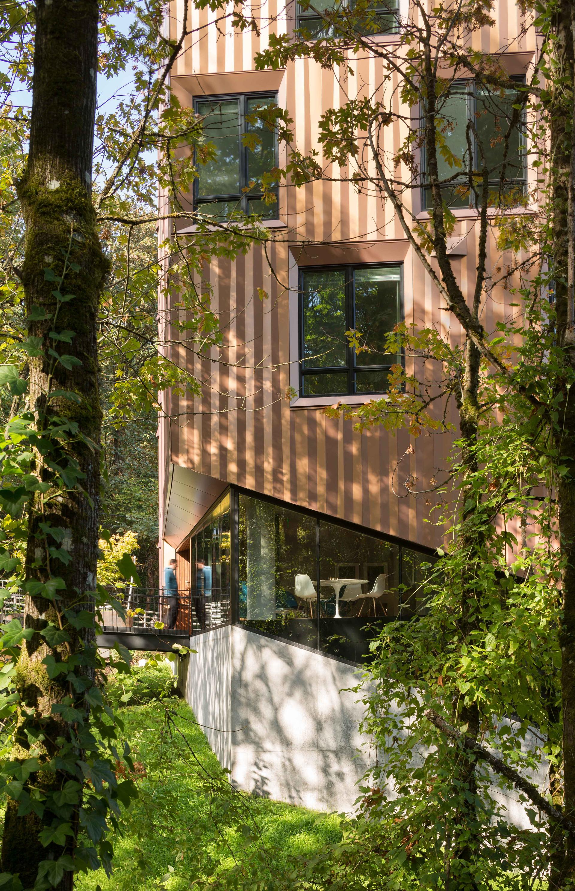 TreeHouse - image 2