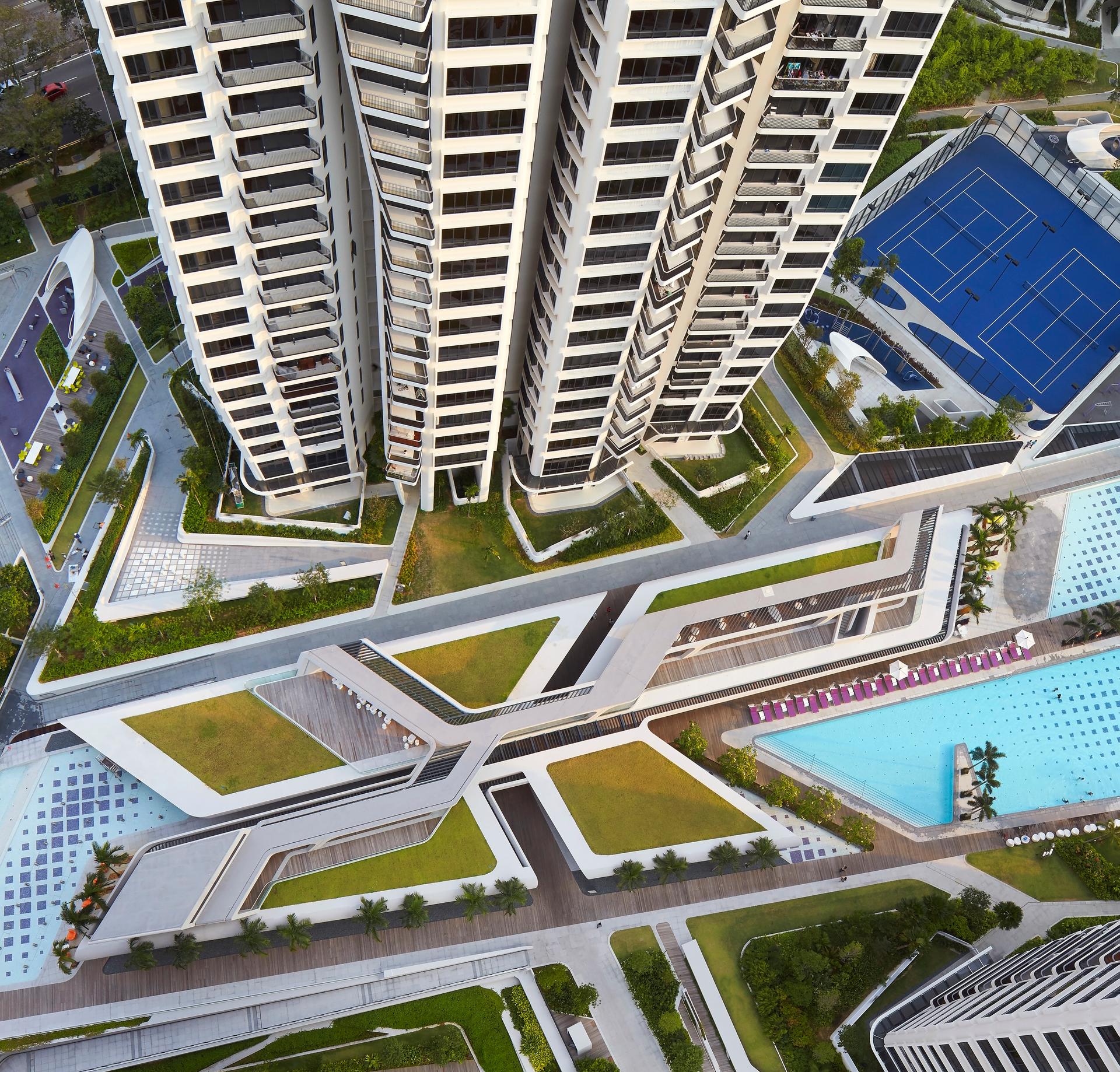 d'Leedon - image 8