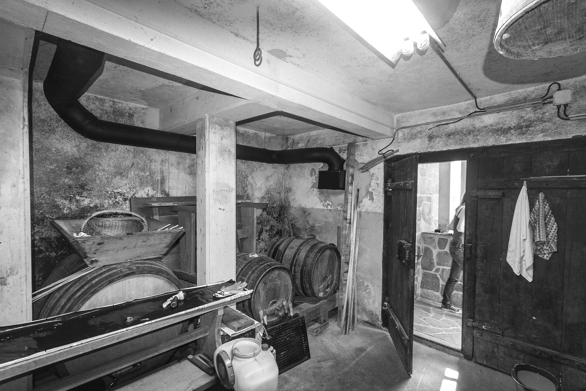 Wine Cellar - image 9