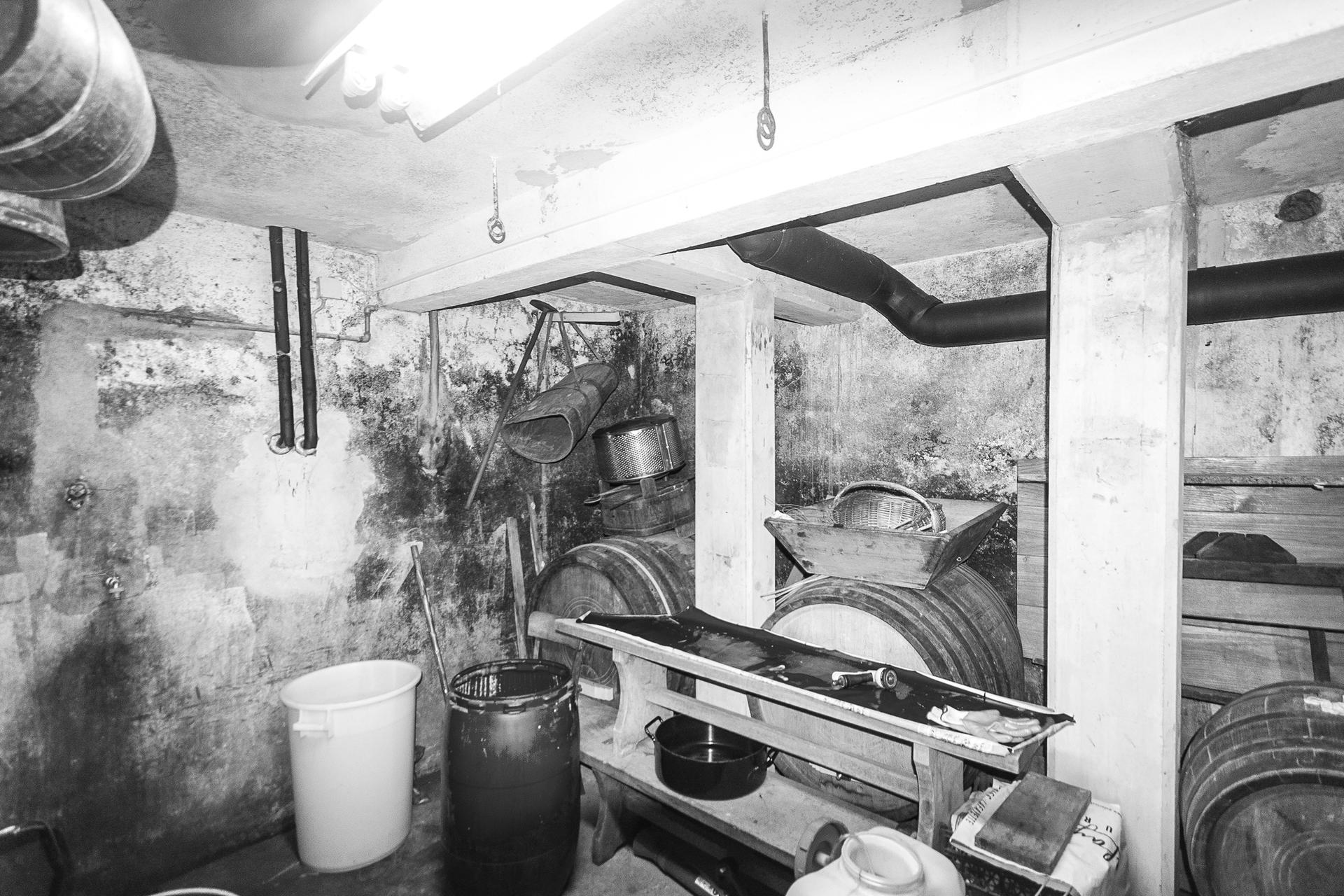 Wine Cellar - image 10
