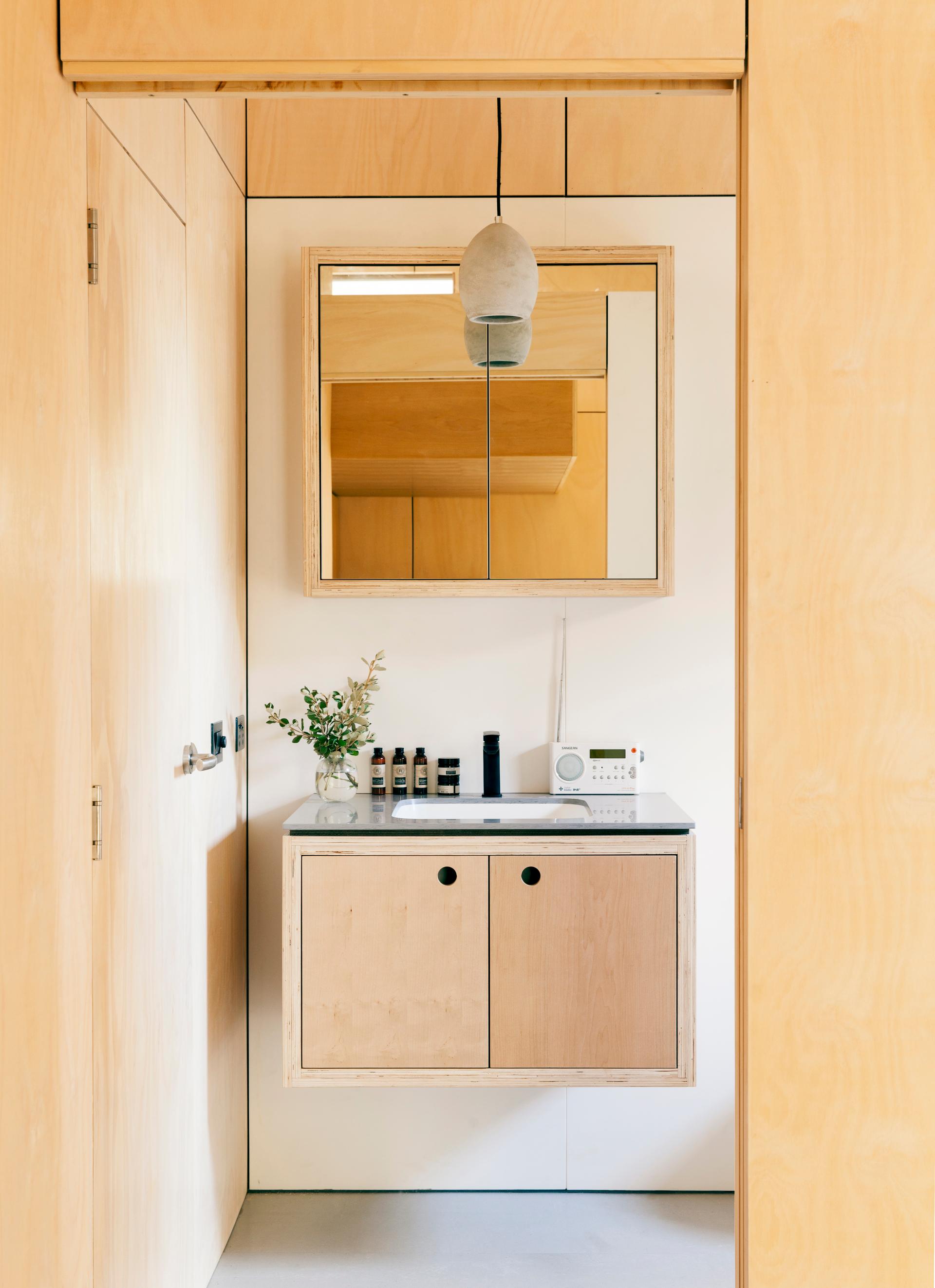 Carbon Postive House - image 7