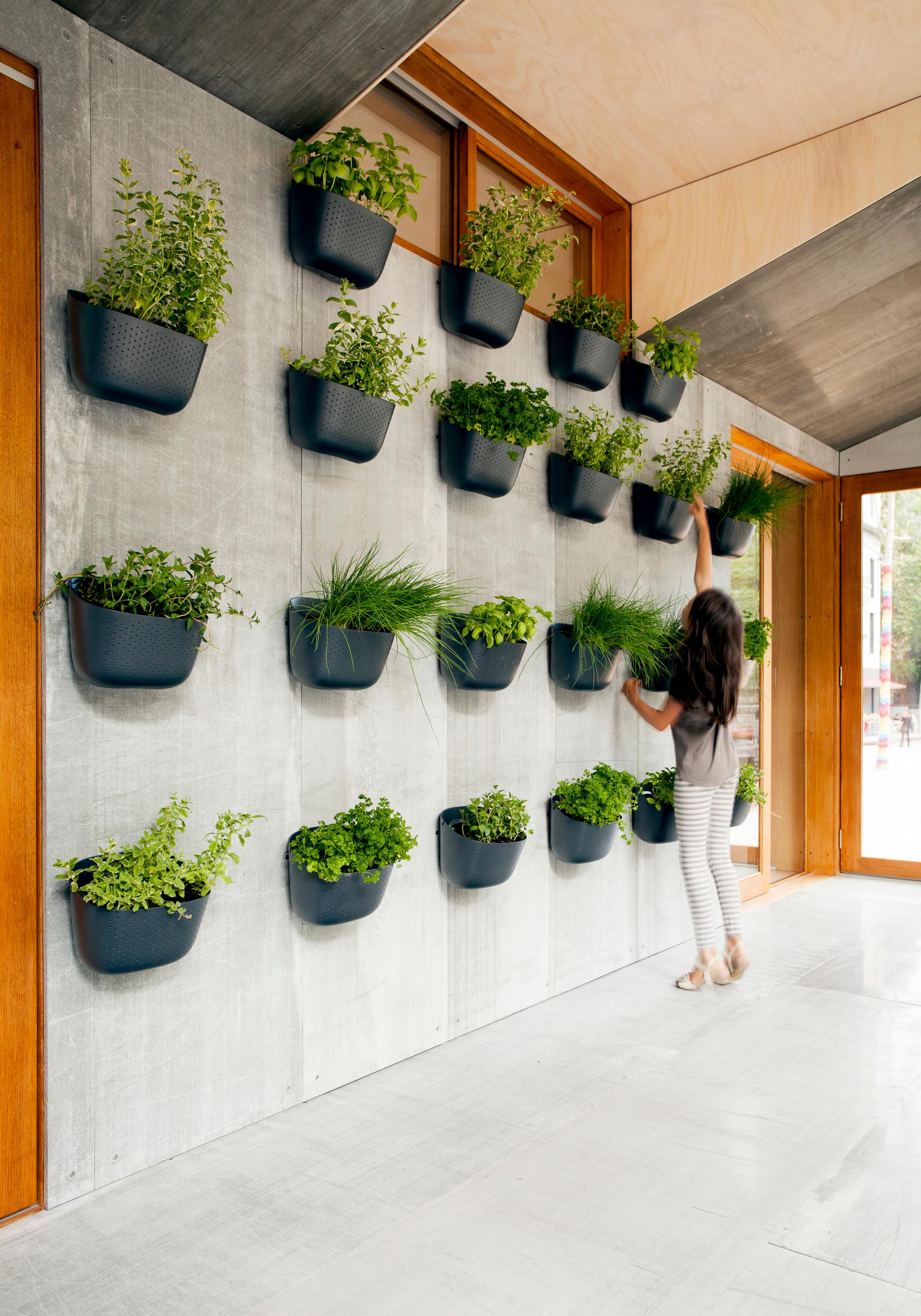 Carbon Postive House - image 9