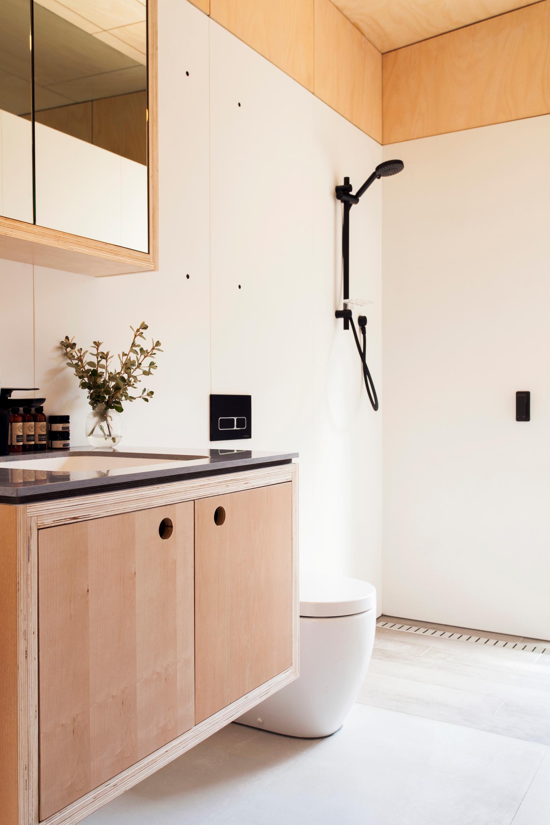 Carbon Postive House - image 12