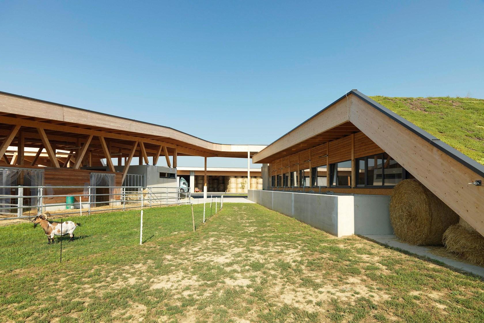 Güssing Agriculture School - image 9