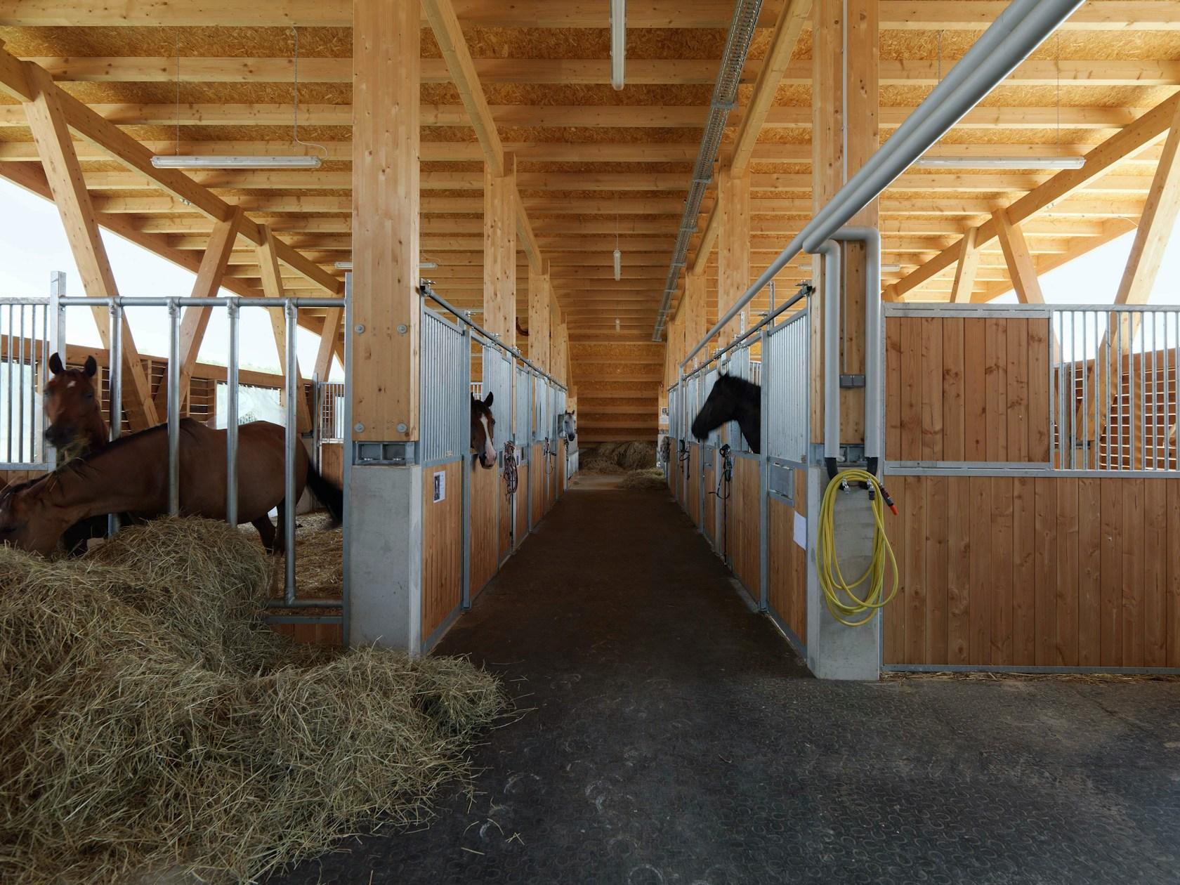 Güssing Agriculture School - image 10