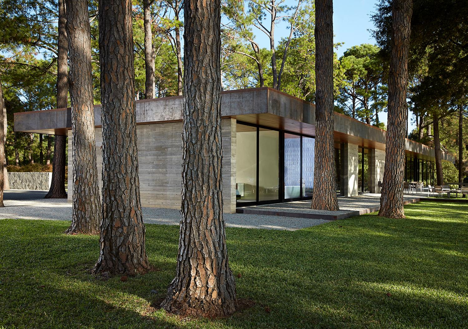 Cedar Creek - image 6