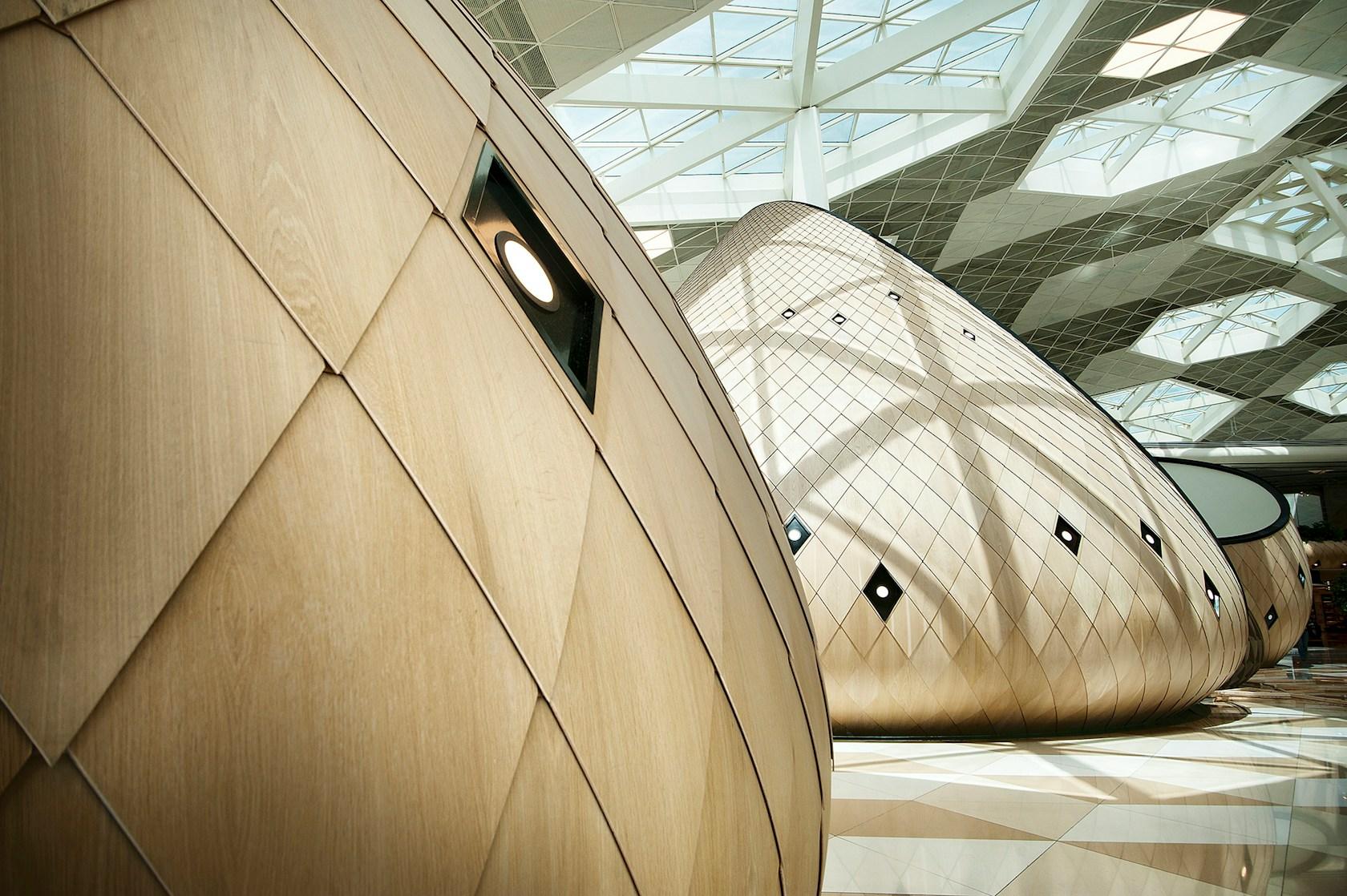 Heydar Aliyev International Airport - image 9