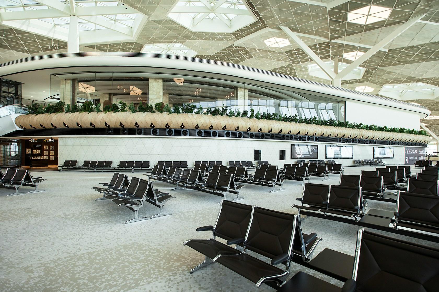 Heydar Aliyev International Airport - image 12