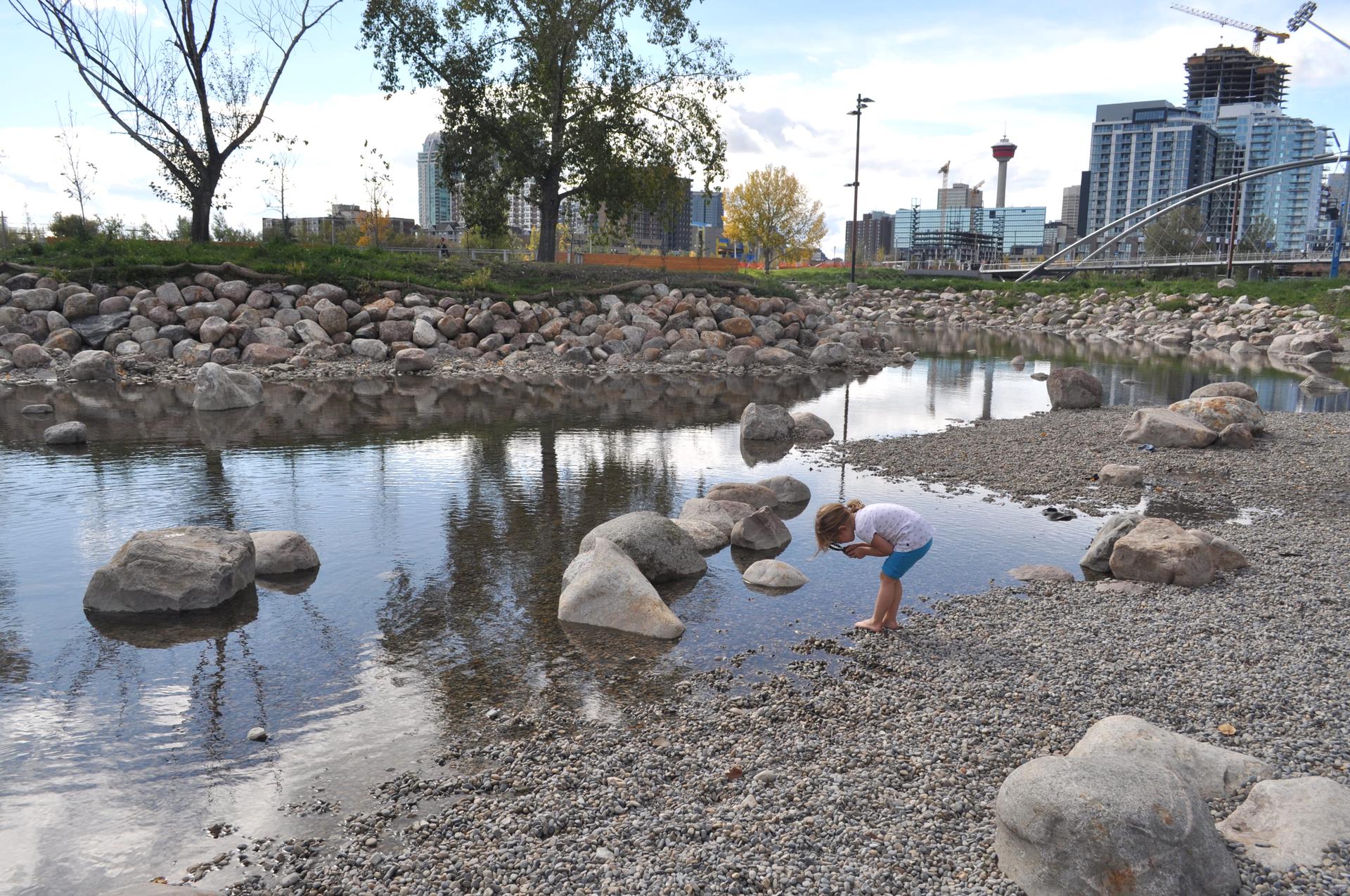 St. Patrick's Island Park - image 8
