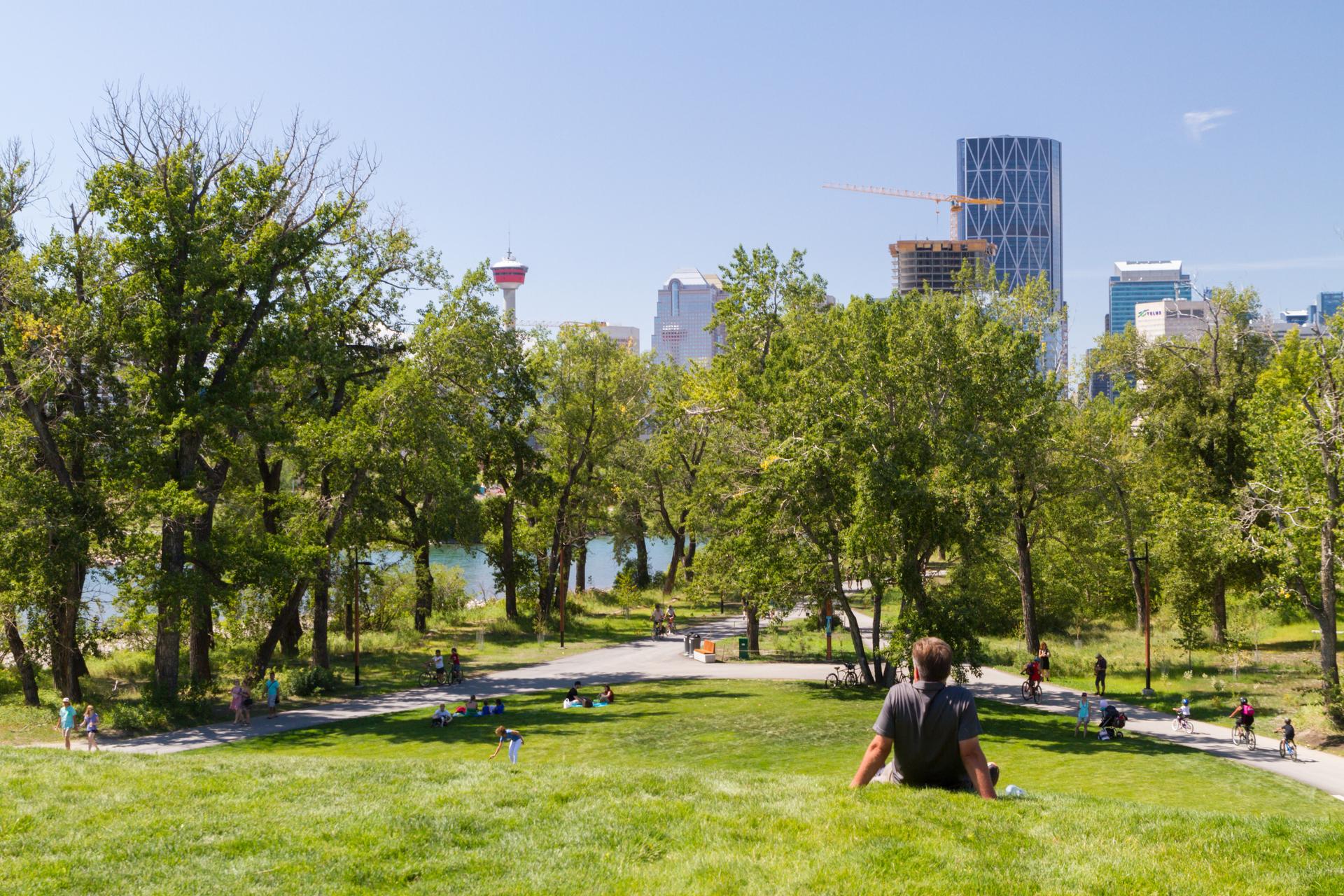 St. Patrick's Island Park - image 9