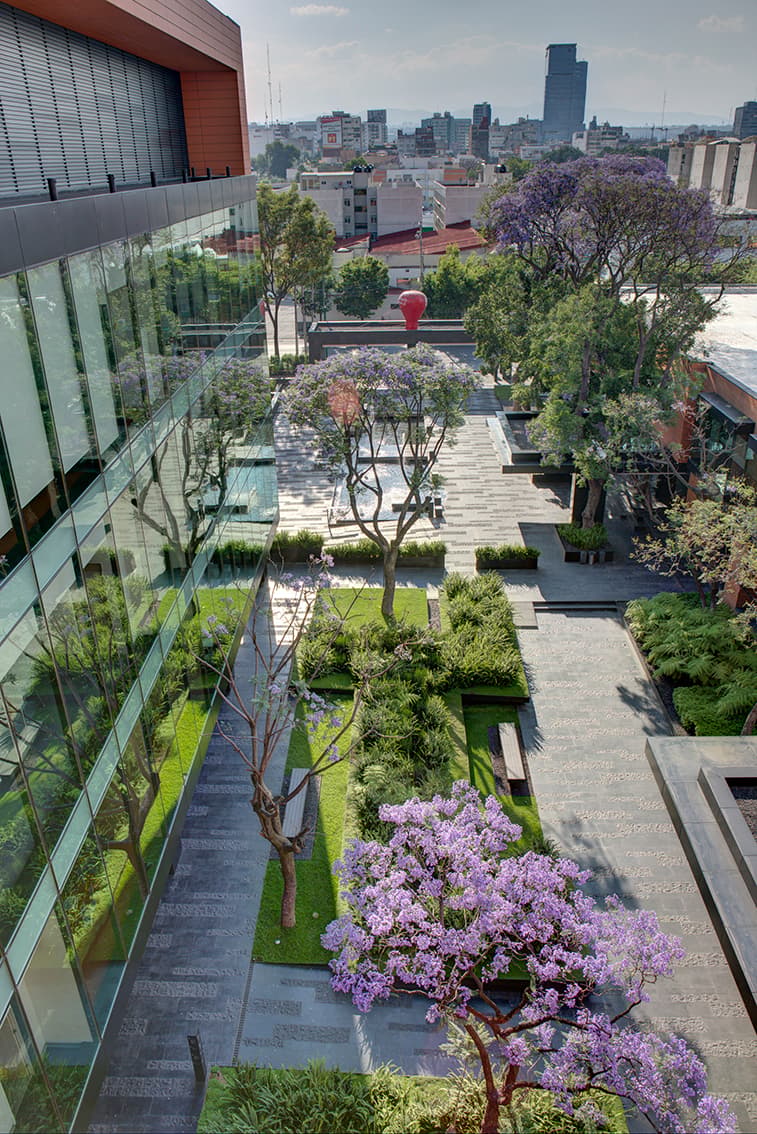 Coyoacán corporate campus - image 2