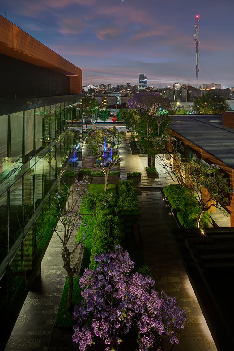 Coyoacán corporate campus - image 3