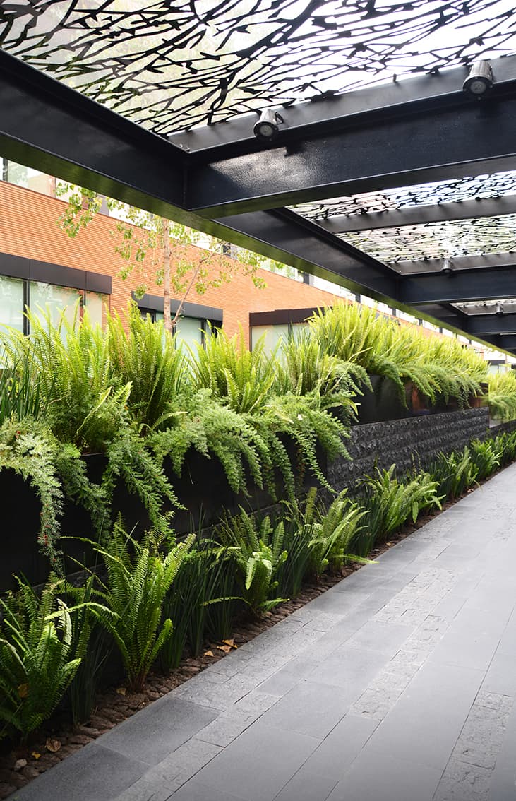 Coyoacán corporate campus - image 11