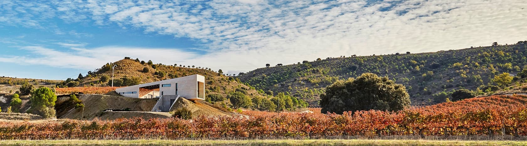 Valdemonjas Winery - image 7