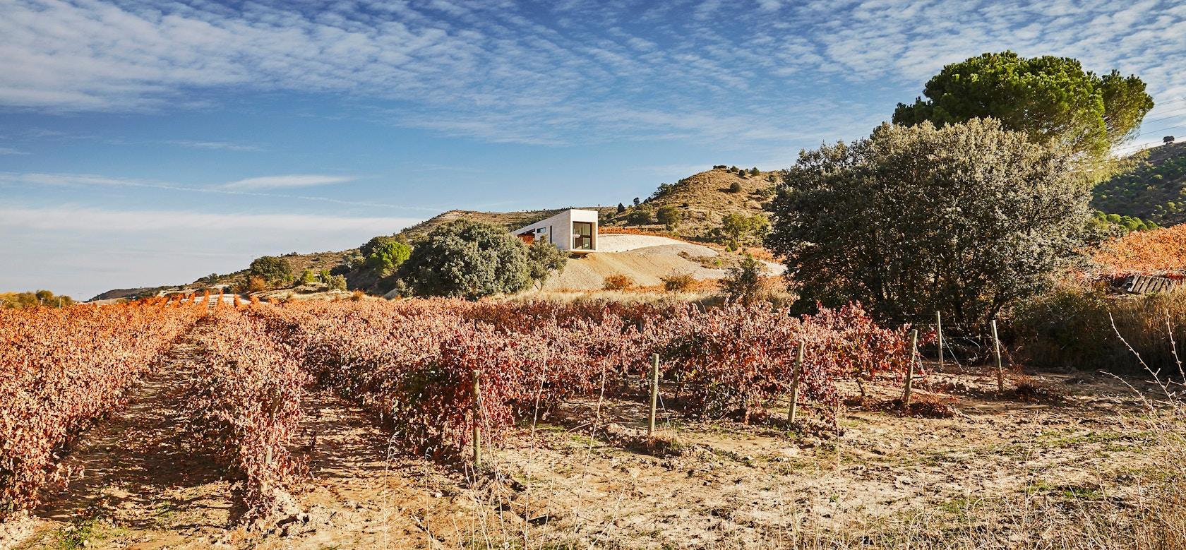 Valdemonjas Winery - image 8
