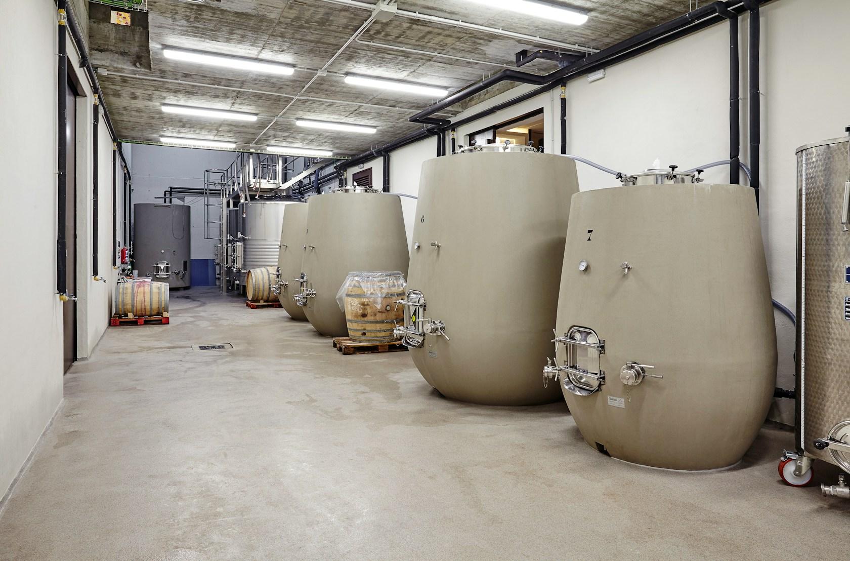 Valdemonjas Winery - image 11