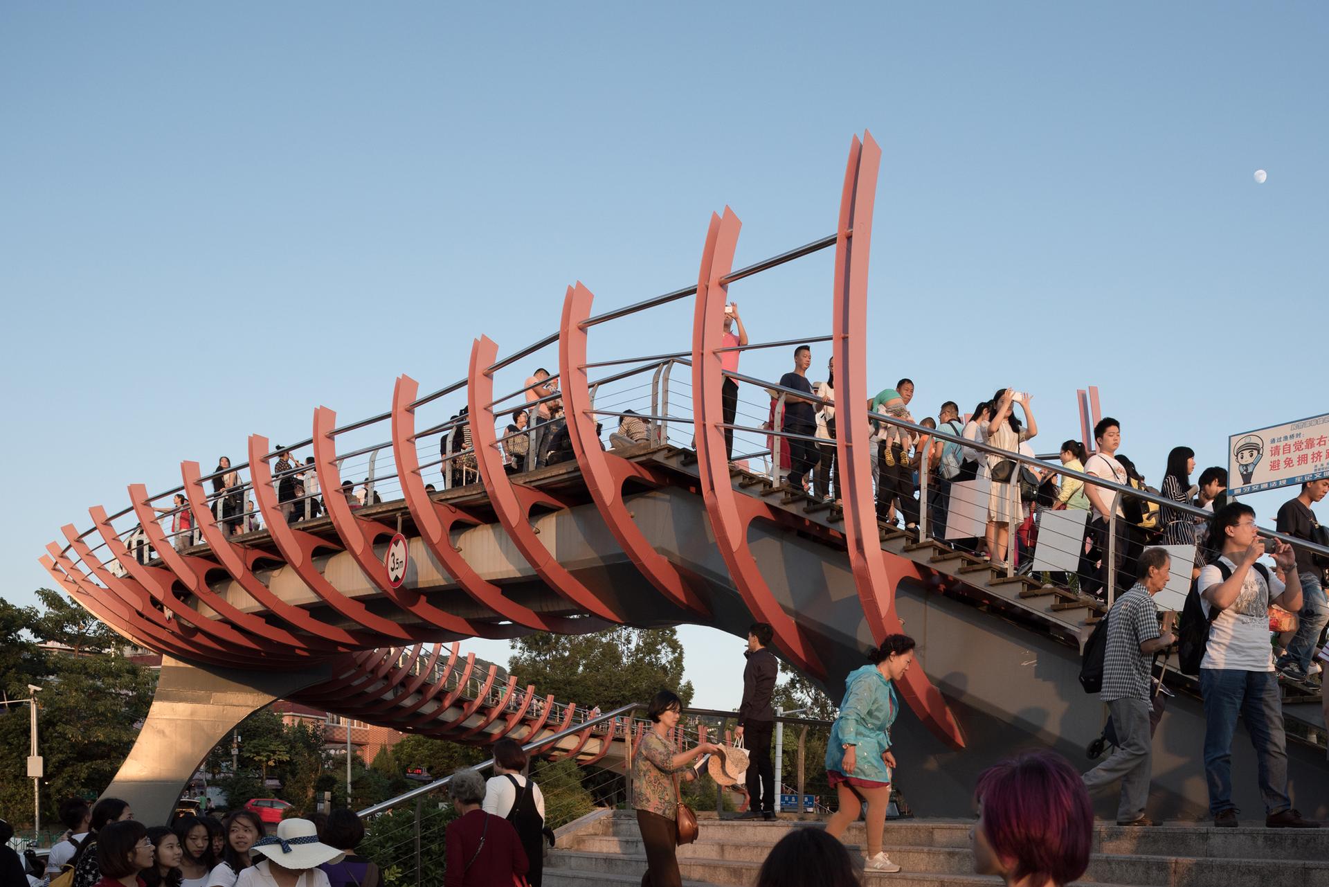 The Fishing Bridge - image 7