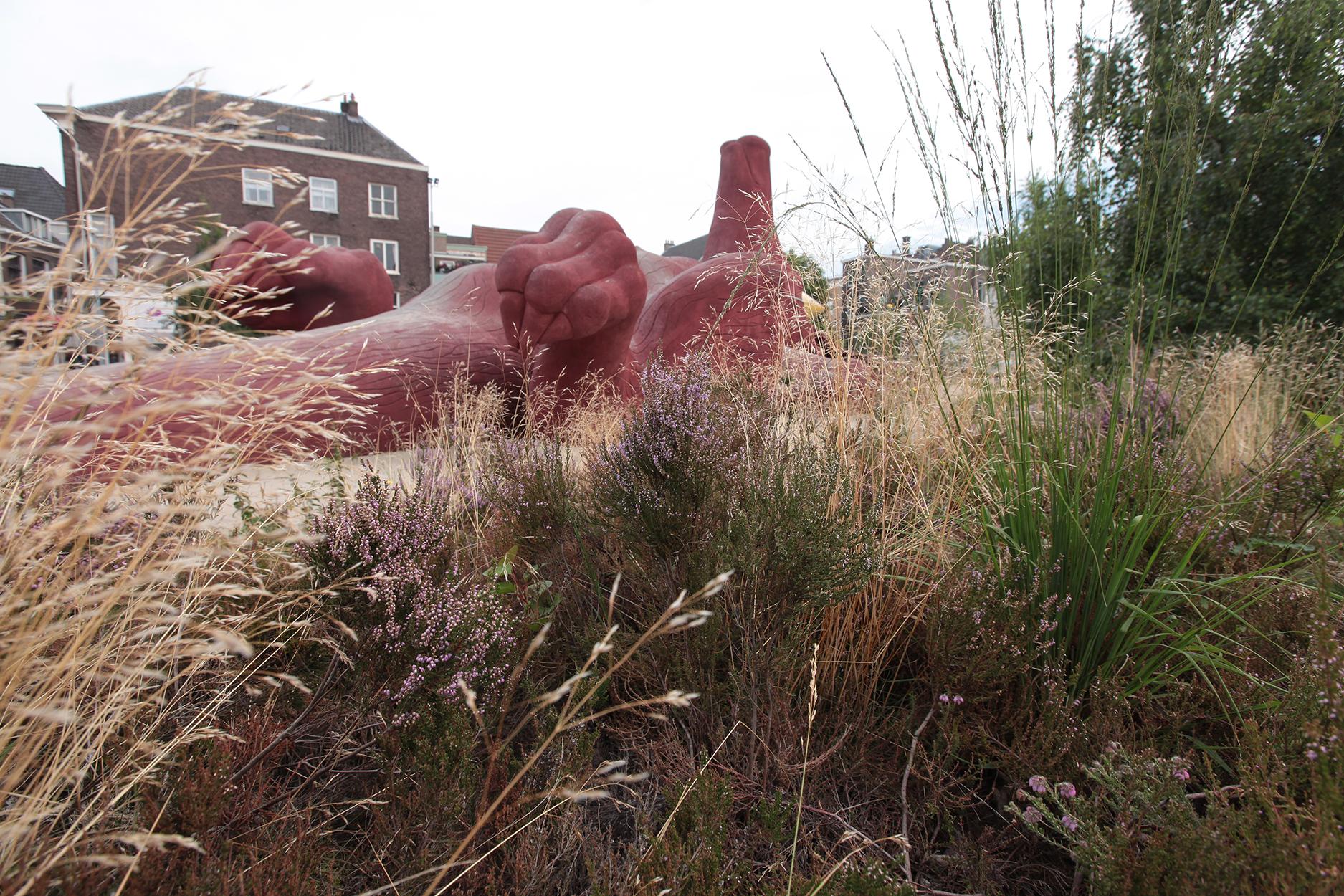 Bartokpark - image 5