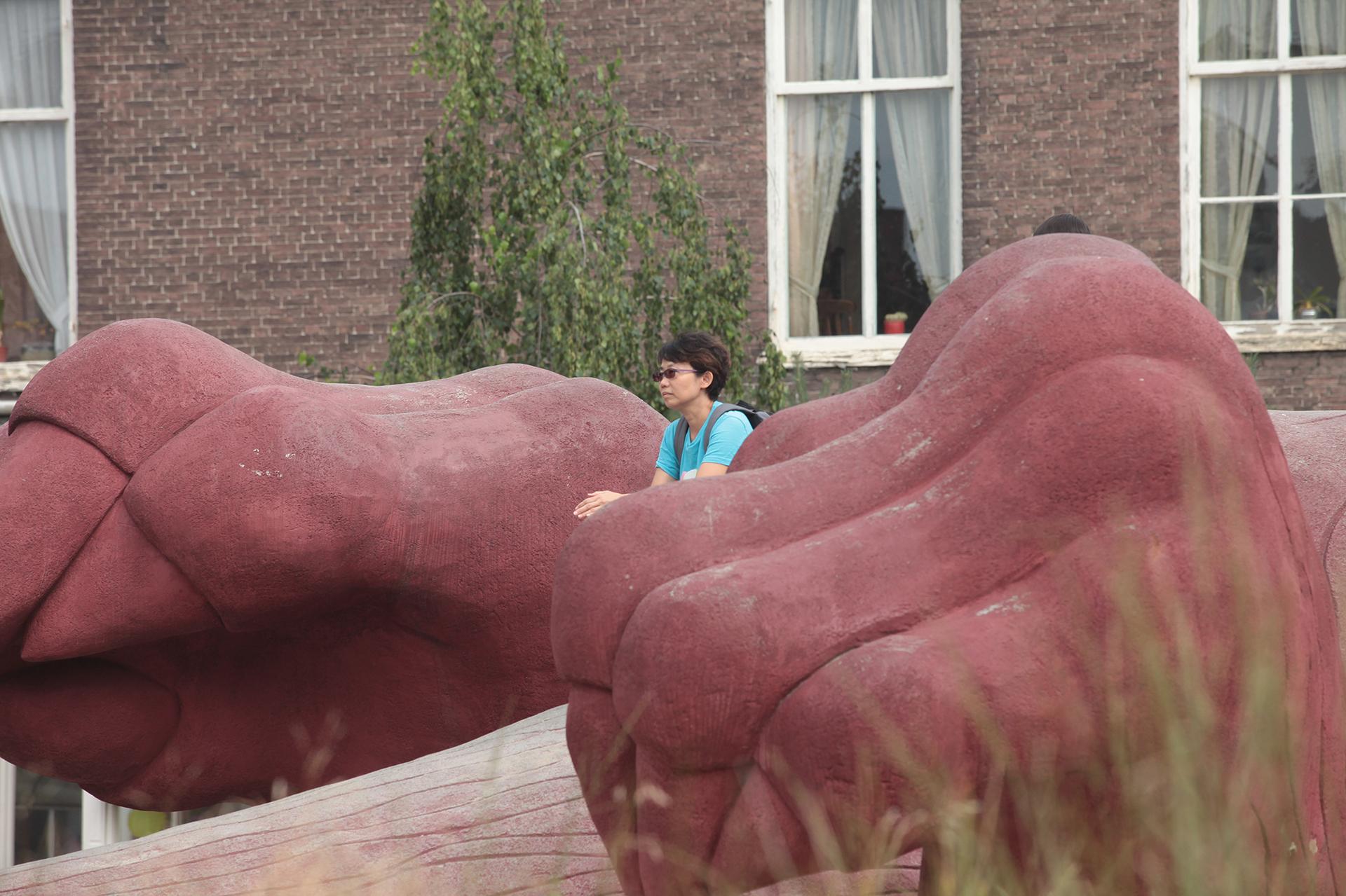 Bartokpark - image 6