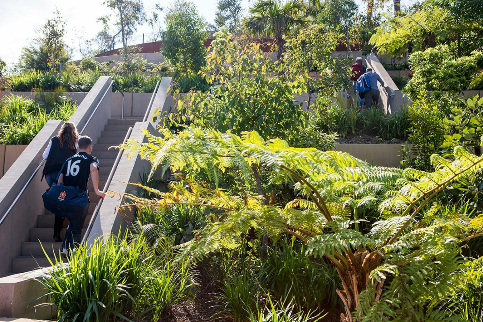 Barangaroo Reserve - image 11