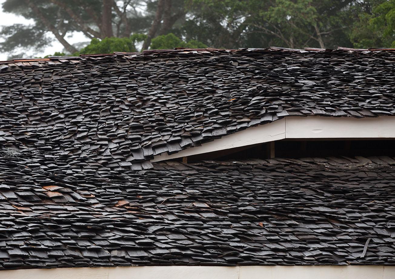Ilima Primary School - image 7