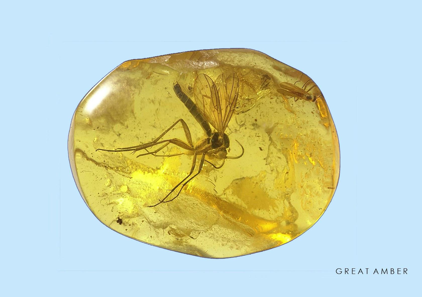 Great Amber - Concert Hall Liepaja - image 17
