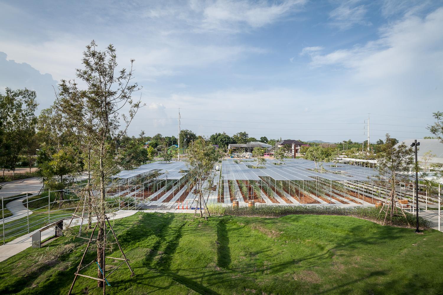Coro Field : Phase 1
