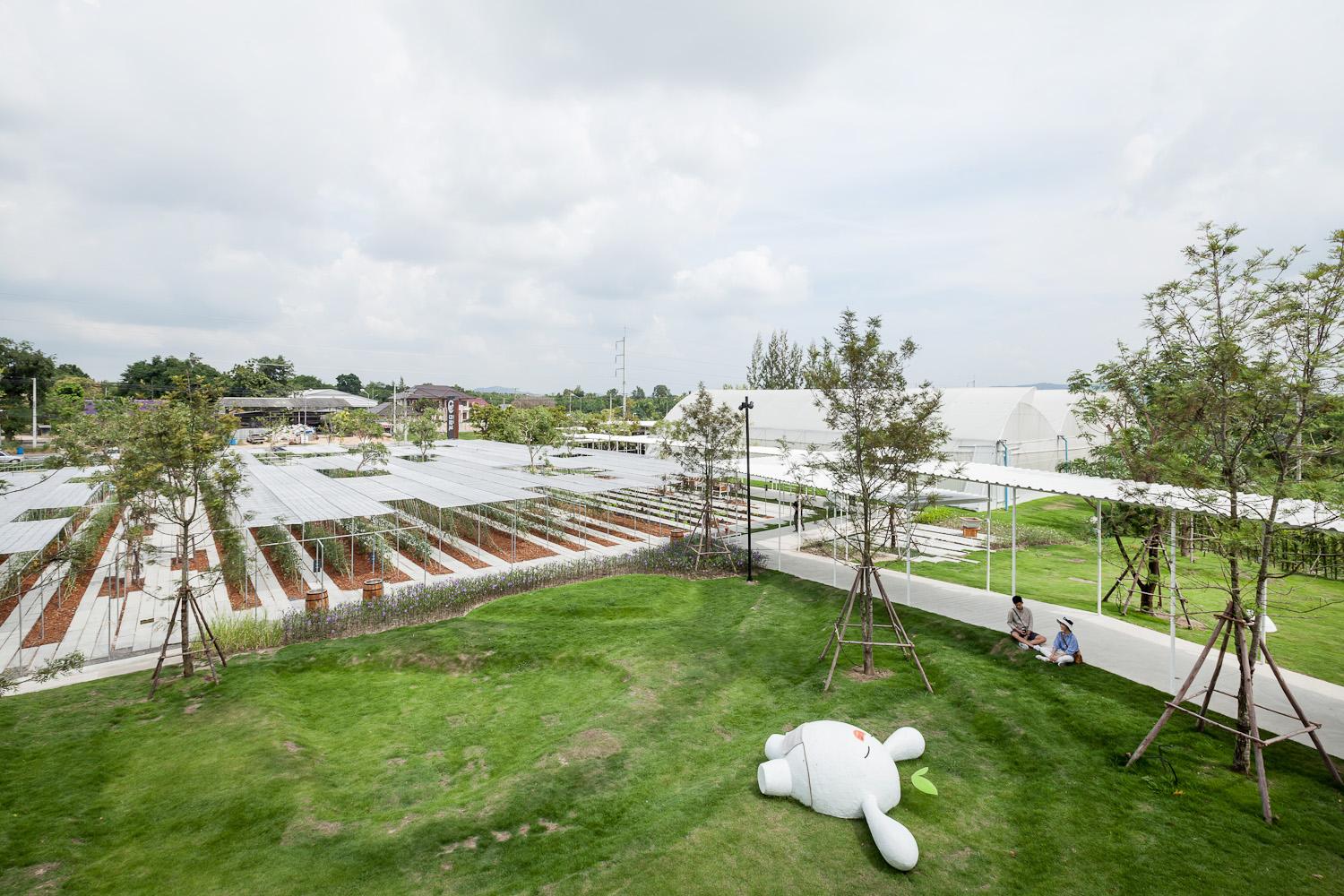 Coro Field : Phase 1 - image 2
